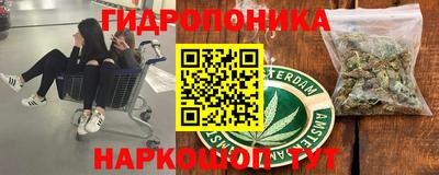 ГАЛЛЮЦИНОГЕННЫЕ ГРИБЫ Будённовск