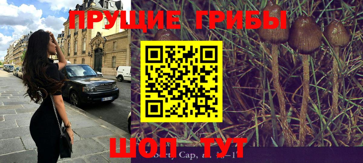 Лениногорск  цены наркотик  Вход с VPN  Псилоцибиновые грибы мицелий 